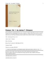 Archaeological Essays, Vol. 1 pot