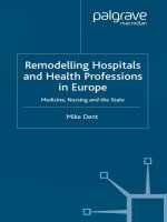 Remodelling Hospitals and Health Professions in Europe potx