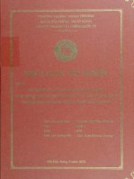 sử dụng các công cụ phái sinh trong hoạt động kinh doanh ngoại hối tại các ngân hàng thương mại việt nam thực trạng và giải pháp