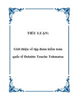 TIỂU LUẬN: Giới thiệu về tập đoàn kiểm toán quốc tế Deloitte Touche Tohmatsu pdf