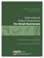Report to Congress January 2012: International Patent Protections For Small Businesses pot