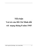 Tiểu luận Vai trò của Hồ Chí Minh đối với mạng tháng 8 năm 1945 pdf