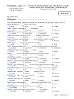 Đề thi - Đáp án môn Tiếng Nga - Tốt nghiệp THPT Chương trình Chuẩn và Nâng cao ( 2013 ) Mã đề 347 docx