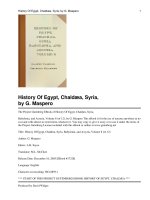 History Of Egypt, Chaldæa, Syria, Babylonia, and Assyria, Volume 8 (of 12) docx