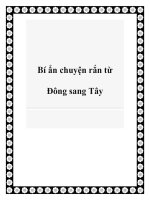 Bí ẩn chuyện rắn từ Đông sang Tây pdf
