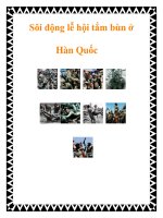 Sôi động lễ hội tắm bùn ở Hàn Quốc pdf