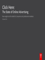 Click Here: The State of Online Advertising - New insights into the beliefs of consumers and professional marketers ppt