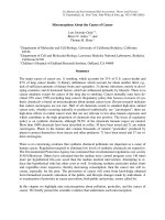 Misconceptions About the Causes of Cancer ppt