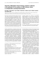 Báo cáo Y học: Guanosine diphosphate-4-keto-6-deoxy-D-mannose reductase in the pathway for the synthesis of GDP-6-deoxy-D-talose in Actinobacillus actinomycetemcomitans potx
