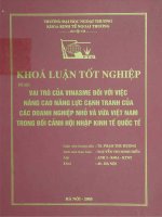 Vai trò của Vinasme đối với việc nâng cao năng lực canh tranh của các doanh nghiệp nhỏ và vừa Việt Nam trong bối cảnh hội nhập kinh tế quốc tế