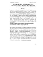 QUAN HỆ GIỮA CÁC GIỐNG, LOÀI HOA LAN (ORCHIDACEAE) DỰA TRÊN ĐẶC ĐIỂM HÌNH THÁI doc