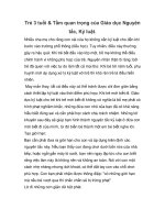 Trẻ 3 tuổi & Tầm quan trọng của Giáo dục Nguyên tắc, Kỷ luật. pptx