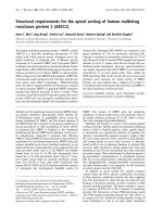 Báo cáo khoa học: Structural requirements for the apical sorting of human multidrug resistance protein 2 (ABCC2) potx