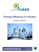 Energy efficiency in industry Student handbook doc
