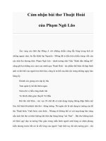 Cảm nhận bài thơ Thuật Hoài của Phạm Ngũ Lão pptx