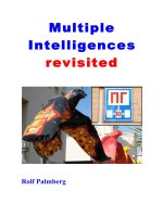 Multiple Intelligences revisited pot