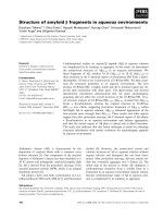 Báo cáo khoa học: Structure of amyloid b fragments in aqueous environments docx