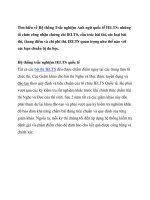 Tìm hiểu về Hệ thống Trắc nghiệm Anh ngữ quốc tế IELTS pot