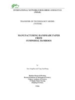 MANUFACTURING HANDMADE PAPER FROM SYMPODIAL BAMBOOS pdf