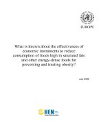 What is known about the effectiveness of economic instruments to reduce consumption of foods high in saturated fats and other energy-dense foods for preventing and treating obesity? docx