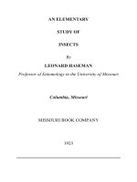 AN ELEMENTARY STUDY OF INSECTS pot