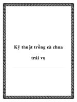 Kỹ thuật trồng cà chua trái vụ pptx
