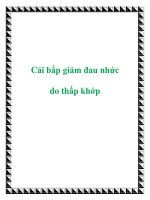Cải bắp giảm đau nhức do thấp khớp docx