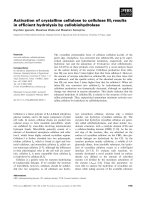Báo cáo khoa học: Activation of crystalline cellulose to cellulose IIII results in efﬁcient hydrolysis by cellobiohydrolase pot