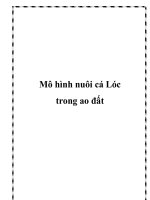 Mô hình nuôi cá Lóc trong ao đất ppt