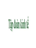 Nghiên cứu về tập đoàn kinh tế ppt