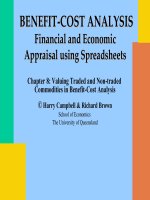 Valuing Traded and Non-traded Commodities in Benefit-Cost Analysis pptx