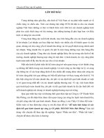 báo cáo tốt nghiệp: Kế toán bán hàng và xác định kết quả kinh doanh tại công ty Cổ phần THANH Niên Hải Phòng