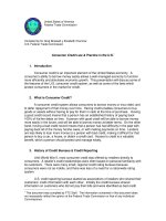 Consumer Credit Law & Practice in the U.S. doc