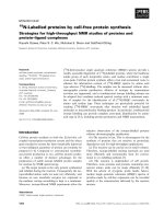 Báo cáo khoa học: 15 N-Labelled proteins by cell-free protein synthesis Strategies for high-throughput NMR studies of proteins and protein–ligand complexes doc