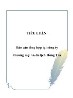 TIỂU LUẬN: Báo cáo tổng hợp tại công ty thương mại và du lịch Hồng Trà ppt