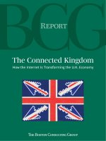 THE CONNECTED KINGDOM - HOW THE INTERNET IS TRANSFORMING THE U.K.ECONOMY pot