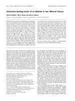 Báo cáo khoa học: Alternative binding modes of an inhibitor to two different kinases doc