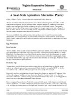 A Small-Scale Agriculture Alternative: Poultry pdf