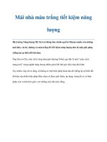 Mái nhà màu trắng tiết kiệm năng lượng pdf