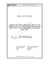 Luận văn: Chiến lược phát triển của công ty cổ phần quản lý và phát triển nhà dầu khí miền Nam-PVFCCo-SBD trong giai đoạn 2012-2015 doc