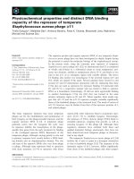 Báo cáo khoa học: Physicochemical properties and distinct DNA binding capacity of the repressor of temperate Staphylococcus aureus phage /11 doc