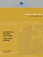 WORKING PAPER SERIES NO. 580 / JANUARY 2006: BANK INTEREST RATE PASS-THROUGH IN THE EURO AREA A CROSS COUNTRY COMPARISON ppt