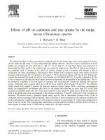 Effects of ph on cd and zn uptake by plant