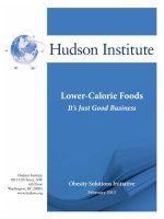 Lower-Calorie Foods It’s Just Good Business pdf