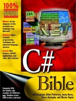 C# Bible docx