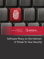 Software Piracy on the Internet: A Threat To Your Security pot