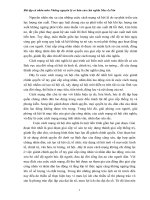 Bài tập cá nhân môn Những nguyên lý cơ bản của chủ nghĩa Mac-LeNin pot