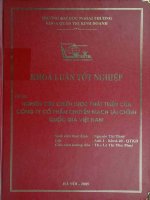 Nghiên cứu chiến lược phát triển của công ty cổ phần chuyển mạch tài chính quốc gia Việt Nam