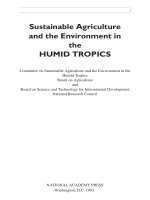 COMMITTEE ON SUSTAINABLE AGRICULTURE AND THE ENVIRONMENT IN THE HUMID TROPICS pot