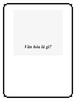 Văn hóa là gì? pptx
